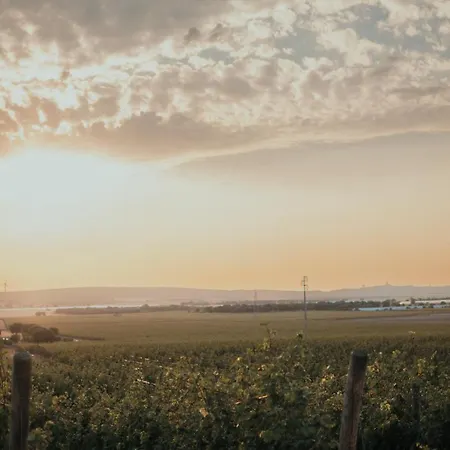 Methe リッツァーノ