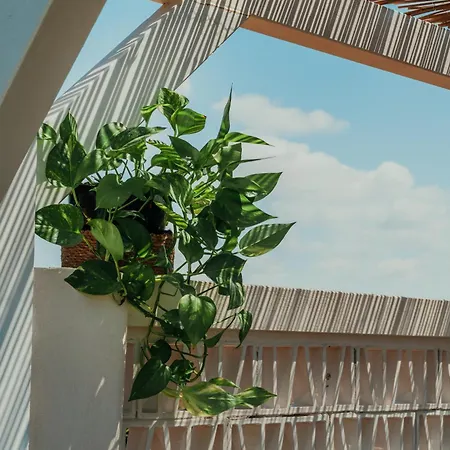 Alojamento de Acomodação e Pequeno-almoço Methe